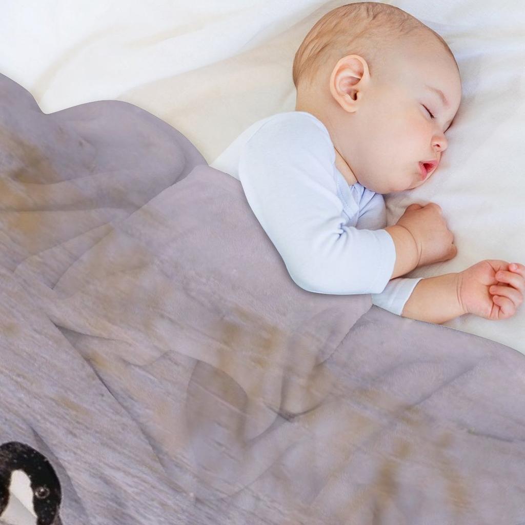 Canada Geese In Winter Throw Blanket Luxury Throw Sofa Throw Funny Gift Manga Blankets