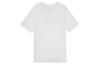 Jordan Air Men's T-Shirt DM3182-100