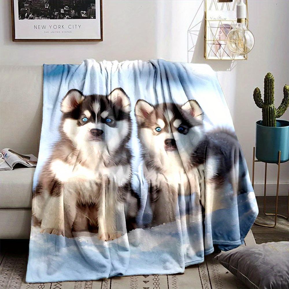Design Pattern of a Husky Puppy Flannel Printed Blanket Suitable for All Seasons Suitable for Living Room Office Sofa and Travel