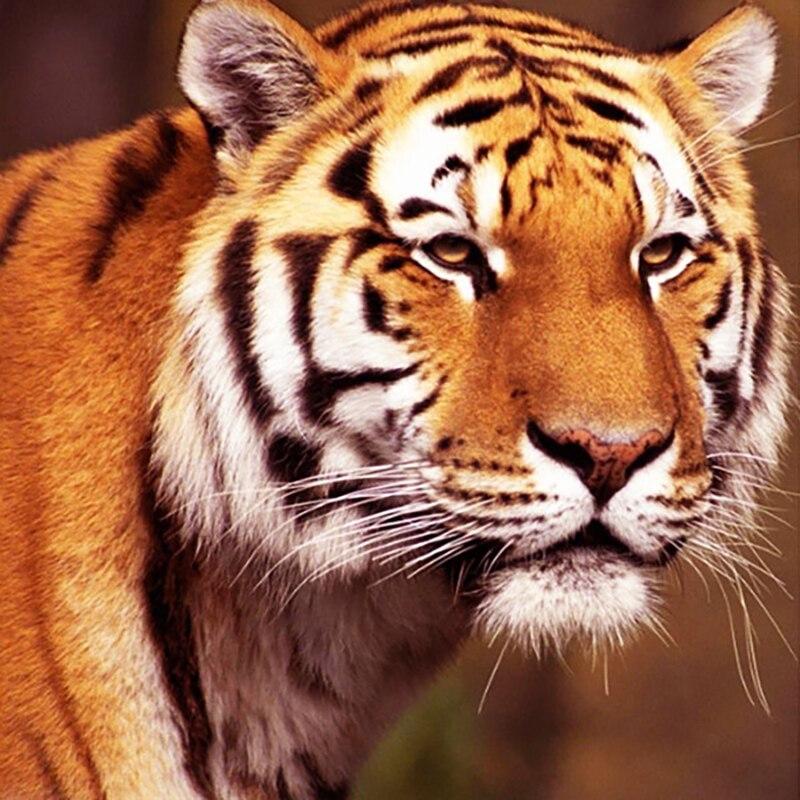 New 5D DIY Diamond Painting Tiger Diamond Embroidery Animal Cross Stitch Full Round Drill Crafts Home Decor Manual Gift