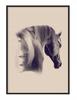 Picture Poster In a Frame 43x33 Cm Horse P1228