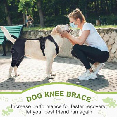 Orthopädische Bandage für Hunde Haustier Orthopädische Hüft-Sprunggelenk-Stützbandage Verstellbare Beinunterstützung Zum Warmhalten und Stabilisieren der Gelenke von Tieren