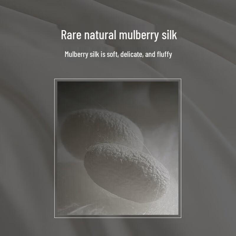 Fuanna Fandi 100% Mulberry Silk All-Season 2-in-1 Duvet