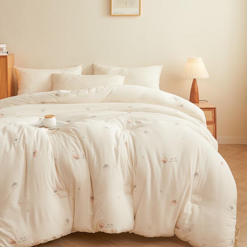 Qixiai Soft Warm All-Season Quilt