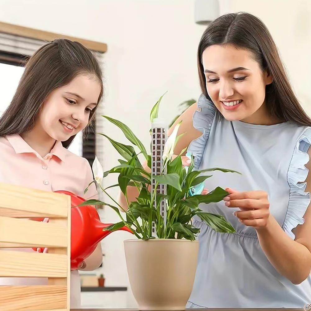 Moss Poles Plants Plant Support Plastic Transparent Reusable Indoor Potted Sticks Train Creeper Plant To Grow Upward For Garden