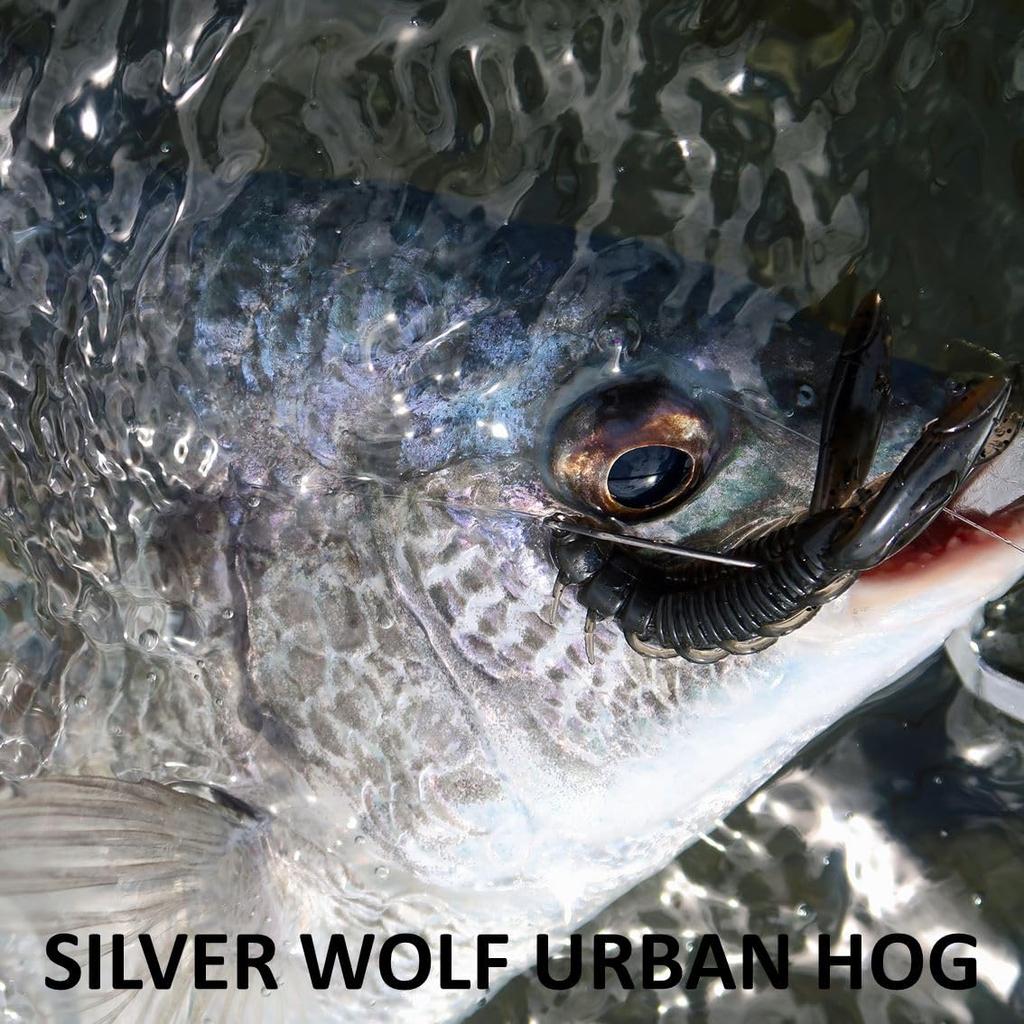 Daiwa Silver Wolf Urban Hog Sand Shrimp Worm for Black Sea Bream (DAIWA) 2.9 [Used]