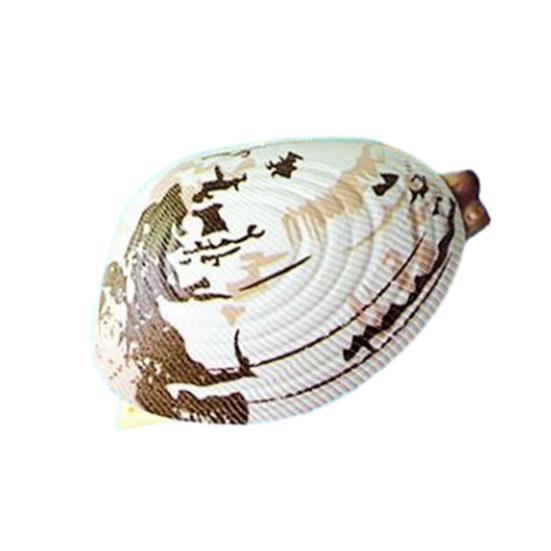 5Pcs Water Spray Toy Strong Clam-Shaped Water Play Toy Mist Sprayer Novelty Summer Beach Party Accessory