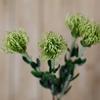 Hill Interiors Pincushion Protea Spray Artificial Flower