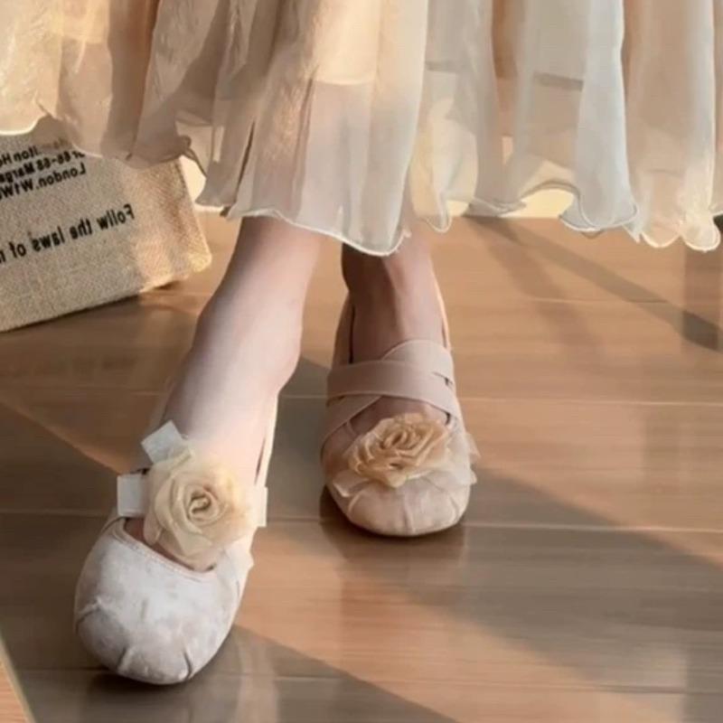 Small Inside Heightened Shallow Single Shoes Women's Spring 2025 New Retro French Temperament Mary Jane Shoes