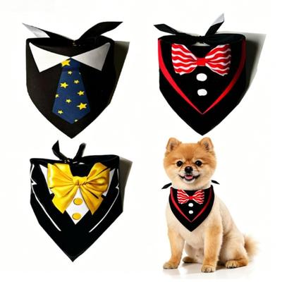 Giyim ve ayakkabı – Köpek Aksesuarları