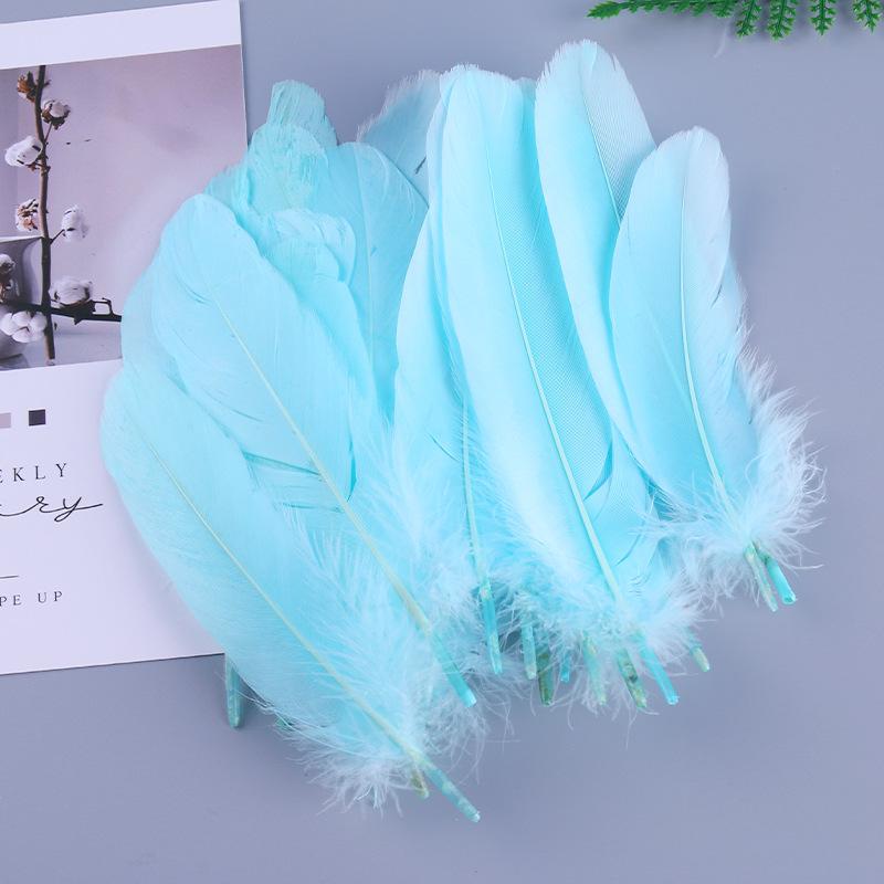 50Pcs Shellfish Feather Goose Feather Diy Handmade Jewelry Accessories Handicrafts Cat Toys Decorative Feathers