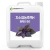 Perilla Leaf Concentrate 60 Brix 200g Sample 1 Pcs