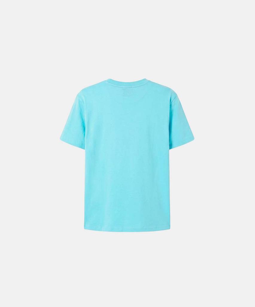 BADBLOOD Translation Stacked Graphic 1/2 T-Shirt - Mint