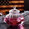 DOITOOL Glass Teapot with Infuser, Stovetop Safe Tea Kettle, Blooming and Loose Leaf Tea Maker