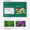 Madeca21 Teca Solution Soothing Spot Soothing Korean Korean Centella asiatica Dongguk hypoallergenic Gel, 15ml. skincare, Hancos, cosmetics, extract,