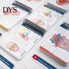 Anatomical Diagrams for Practice Anatomy Label Lab Workbook Human Illustrations 100+ A&P Exam Resources Full-Color Dry-Erase Pages Educational