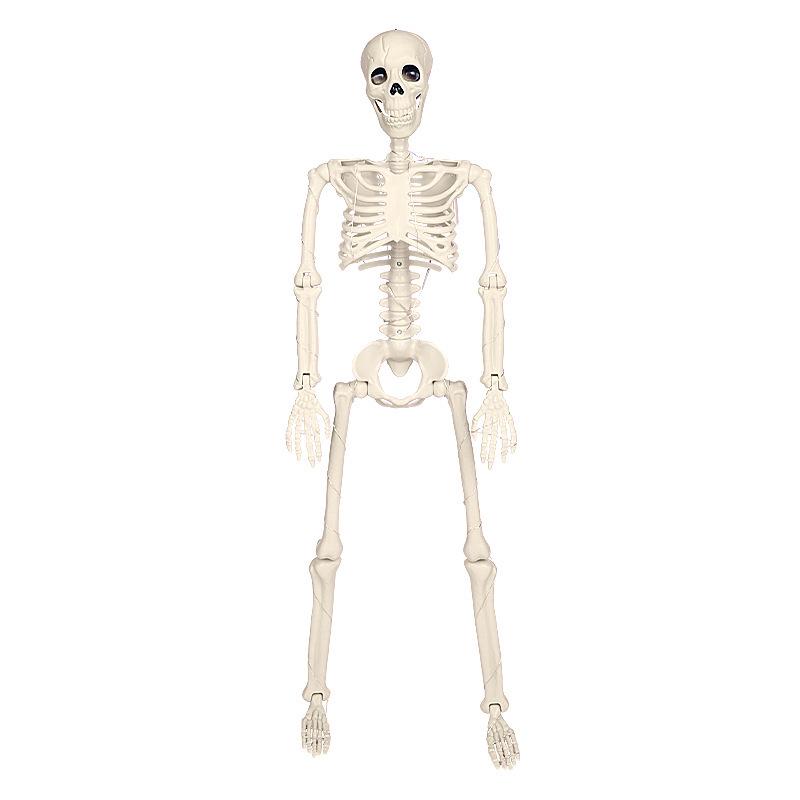 Luminous 90cm Halloween Skeleton with Movable Joints for Decoration New 90cm Luminous Skeleton