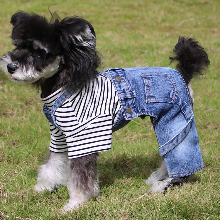 Bichon Teddy Denim Overalls: All-Season Four-Legged Outfit for Small Dogs