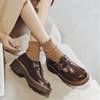 Fashion Vintage Block Women's Shoes Thick Sole Sen Women's Japanese Mary Jane Single Shoes Cute Big Head JK Small Leather Shoes