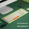 BOW Hangshi K221 USB Wired Keyboard for Girls - Desktop & Laptop Typing