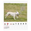 2025 Petcha Senryu (Weekly) Calendar No.026