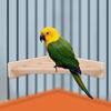 High Quality Parrot Standing Platform Rack Bird Climbing Wood Stand Cage Toy