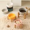 RuHan Elevated Ceramic Pet Bowl