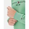Худи Tommy Hilfiger Logo