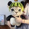 Watermelon Cat Plush Toy With Soft Pp Cotton For Kids And Teens Gift