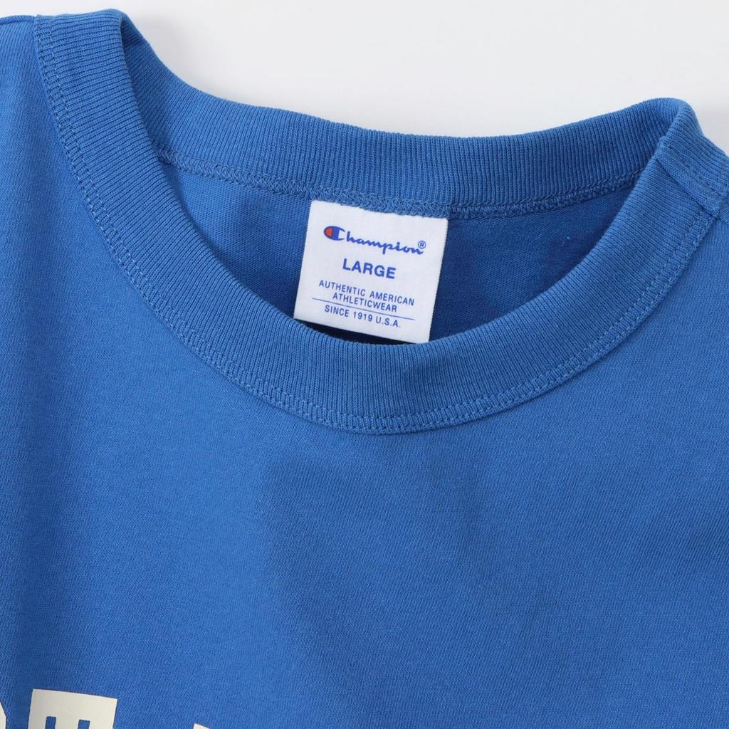 Champion Basic Short Sleeve USA Crew Graphic Print Men's T-Shirt, Blue, C3-B344, 100% Cotton, Print, Neck,