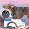 Pet Harness Leather Upgrade Durable Noslip Adjustable For Small Medium Large Dogs