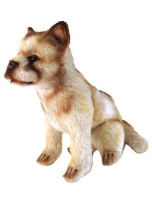 BH6740 HANSA Wolf Pup 30