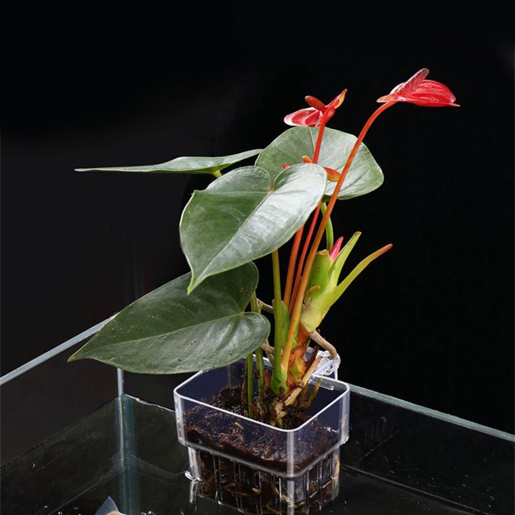 Aquarium Plant Holder for Various Fishtanks Aquarium Hydroponic Planter Bracket Pot Plant Cup Fishtank Habitat Supplies