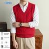 Men's V-Neck Knit Vest
