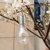 Solar LED String Lights 6 Color Bulbs Outdoor Decorative Hanging Lamp for Party Festival Garden