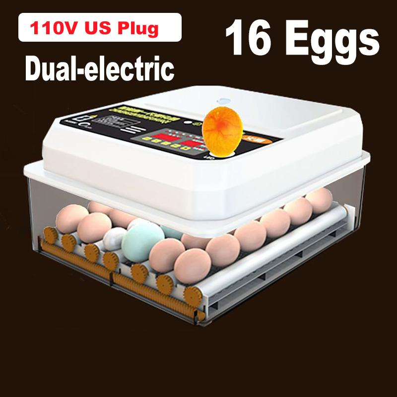 

Инкубатор на 16 яиц с выдвижным ящиком Мини-инкубатор для яиц с автоматическим наполнением ионизированной водой и контролем температуры