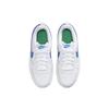 Nike Court Borough Low 2 GS BQ5448-123 White Blue Green Kids Sneakers
