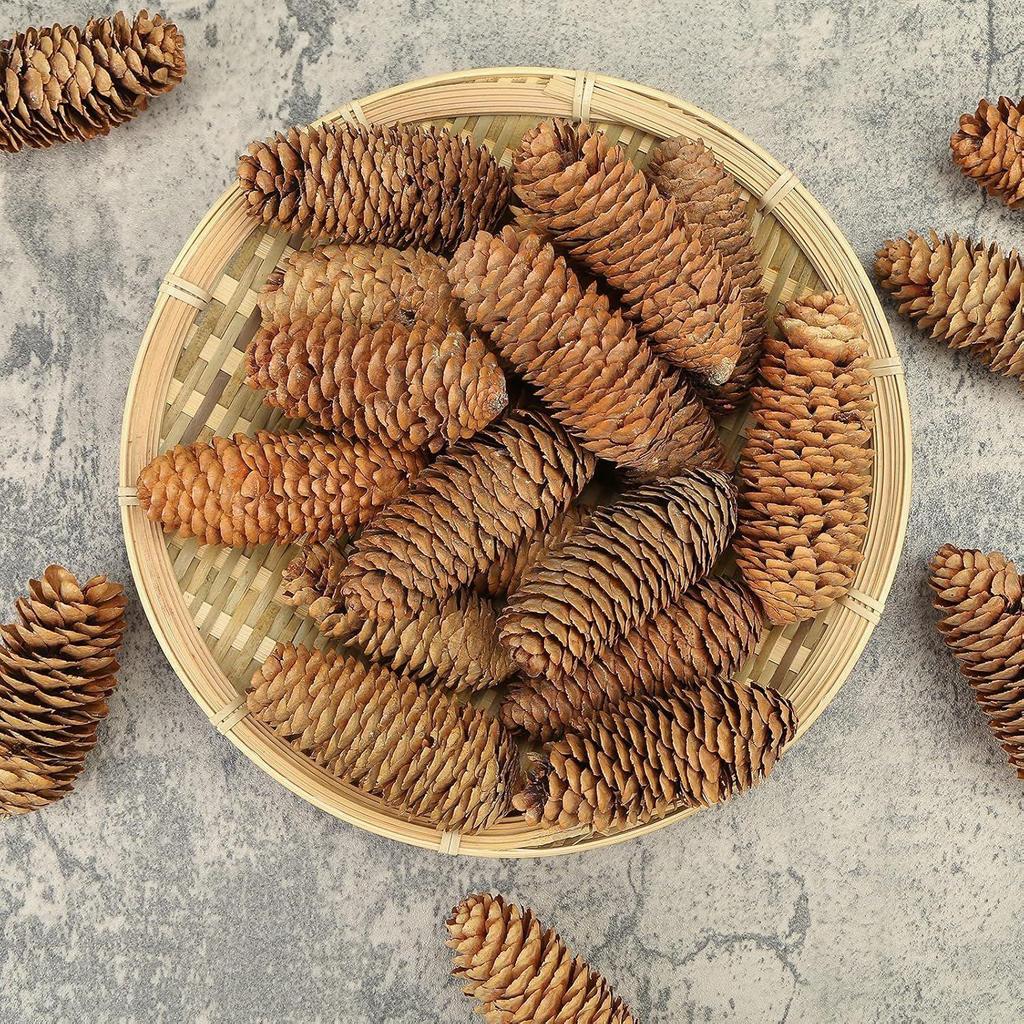 Christmas Natural Pinecone Ornaments Big Spruce Pine Cones for Autumn and Winter Decor Christmas Decorations 10pcs