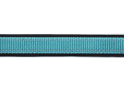 PetSafe 3-in-1 Dog Harness, Teal (Green), Size Medium