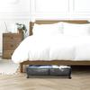 Organizador Metálico Bajo Cama con Ruedas – Almacenaje Plegable para Ropa y Calzado – Nyana Home