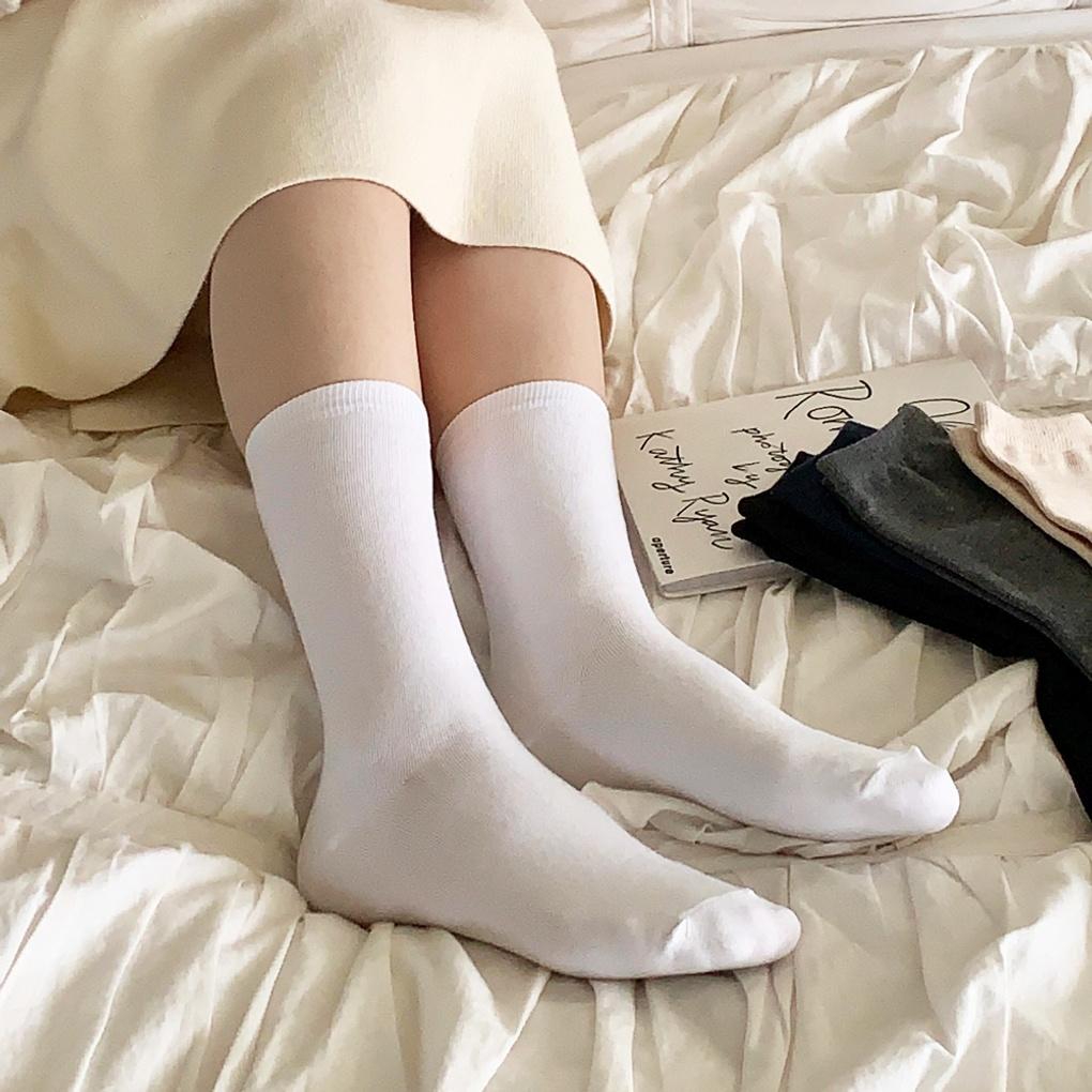 10 Pairs of Women's Four-season Basic Long Socks