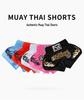 Anotherboxer Dětské Muay Thai Sanda Letní Tréninkové a Závodní Šortky