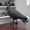 1 Pcs Simulated Crow Bird Hunting Bait Garden Bird Repelling Decoration With Wings Plastic Decoration Target Shooting