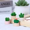 Landscape Creative Micro Cactus Decorations Toy Accessories Ornaments Desktop