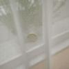 Suminoe Washable Ivory Lace 100 x 176 1 Panel Curtains, cm, G1066,