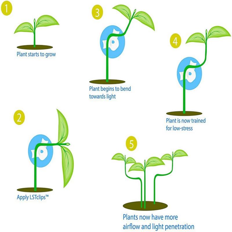 Reusable Plastic Adjustable Plant Training Clips for Low Stress Plant Training Gardening 30/100 Pcs Bulk