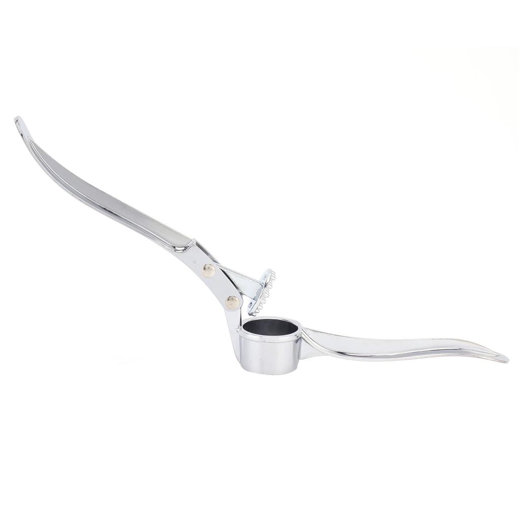 Stainless Steel Garlic Press Professional Easy Clean Garlic Mincer Crusher for Home Kitchen