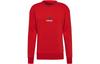 Sweatshirts Men's Red Crew Neck Moderate Regular GR0674