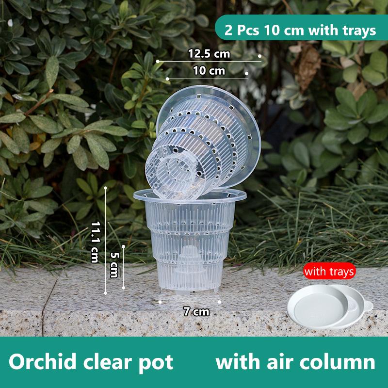 Meshpot Home Decoration Clear Orchid Pots with Holes Cattleya Dendrobium Orchid Plants Pot Cachepot In 10cm 12cm 15cm