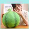Soft And Cuddly Watermelon Plush Pillow Blanket For Office Nap